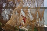 ../thumbnails/024-037-hs_7730.jpeg.small.jpeg